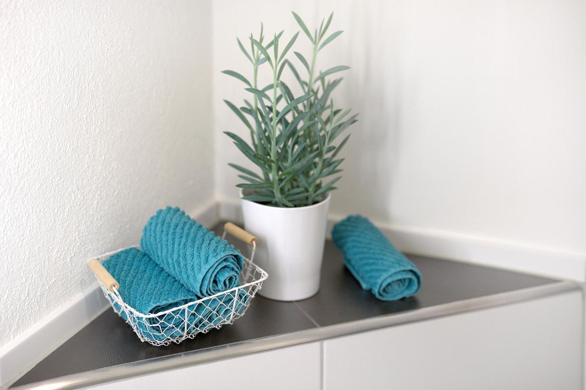הרבולצהיים Ferienwohnung Kleeblatt מראה חיצוני תמונה